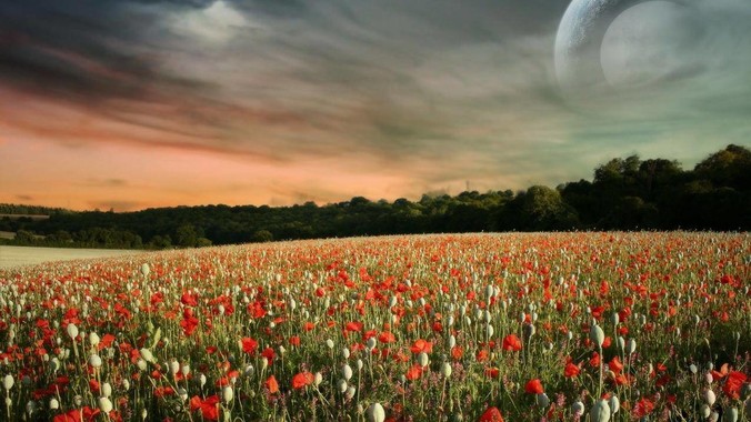 为什么有很多人连基本的常识都没有？